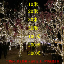 LED small color lights Flashing lights string lights starry outdoor waterproof lighting engineering colorful color-changing Christmas decorative lights