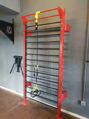 Physical training integrated frame climbing frame rib frame climbing private education ladder Ladder studio gym leg press frame