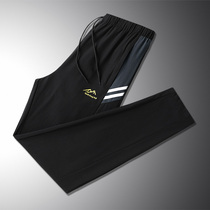 Outdoor Speed Dry Pants Men and women Summer thin Ice Ice Sports Trousers Climbing hiking Hiking Elastic Breathable Quick Dry Pants