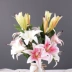 Qiao Xi mô phỏng đám cưới lily phòng khách phòng ăn nội thất trang trí nhà hoa duy nhất lily giả hoa bó hoa - Hoa nhân tạo / Cây / Trái cây