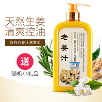 xuan gu family pack lao jiang zhi shampoo men oil control dandruff laojiangwang ginger shampoo shampoo