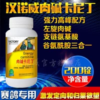 Hannover Carnitine Canidin đua chim bồ câu cung cấp trò chơi tốc độ - Chim & Chăm sóc chim Supplies lồng cu gáy đẹp