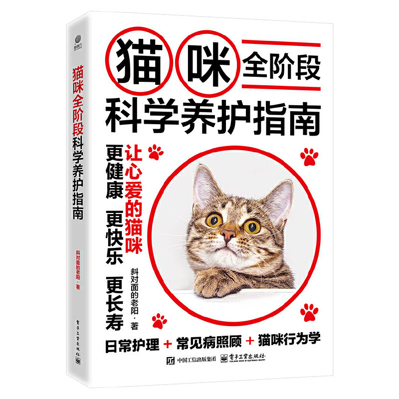 重庆买宠物猫要注意什么?——2026年消费指南详解