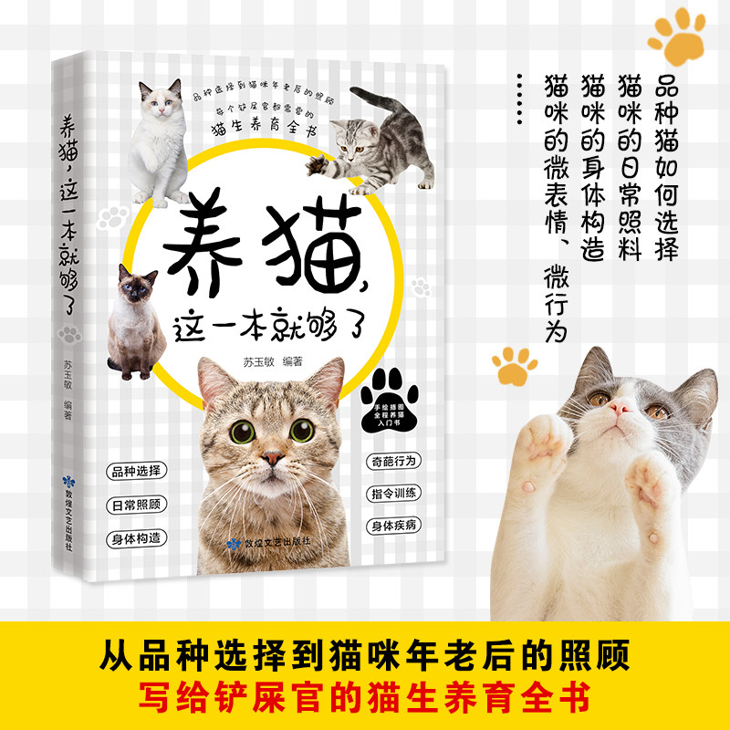 2026年养猫更讲究“猫友好”？这本书如何帮你看懂猫咪的真实需求？