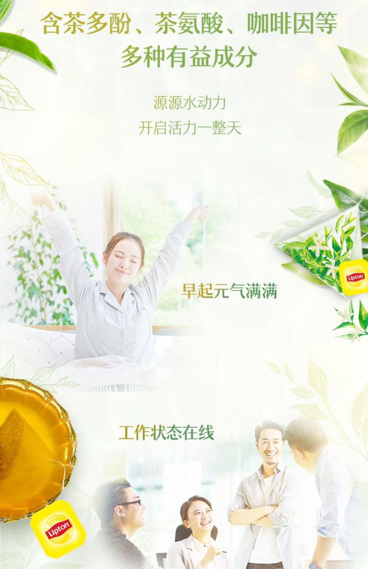 【立顿】乐活新鲜茉莉花茶20包*2盒