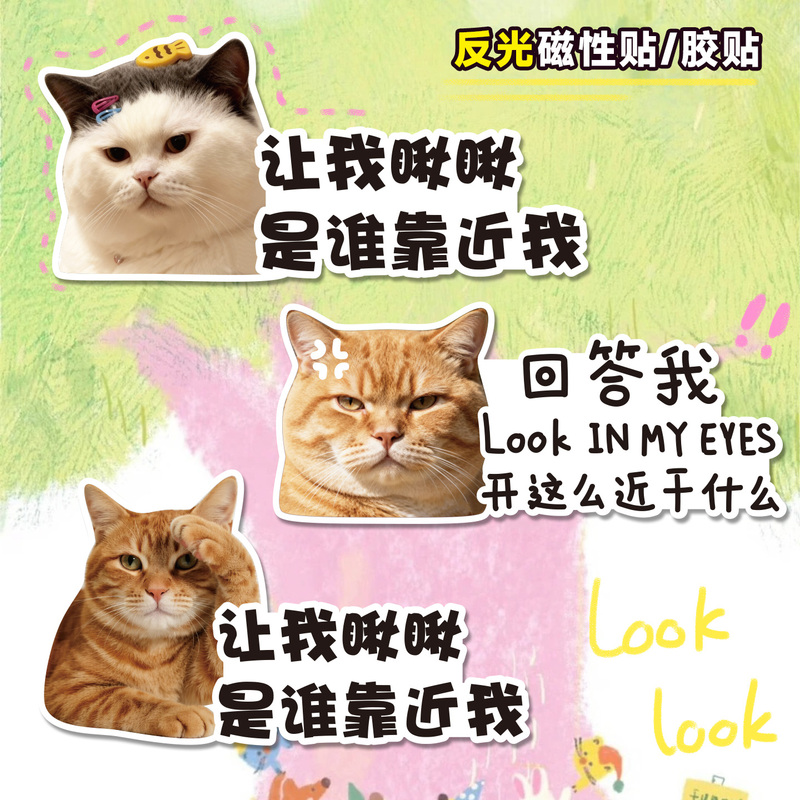 Let Me See Who Is Near Me, Cute Kitten Car Stickers, Personalized Creative Car Window Stickers, Electric Vehicle Magnetic Stickers