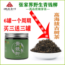 Green Qianliu Green Qianliu tea Bud Tea Zhangjiajie Qianliu Qing Qianliu Ancient Tree Tea