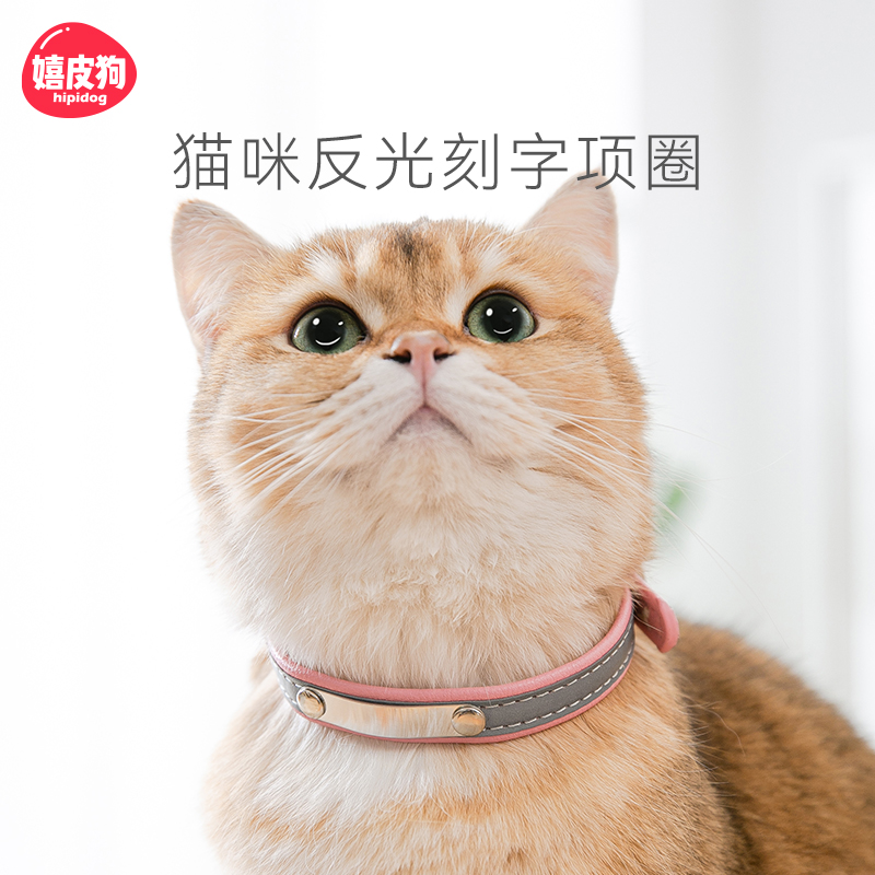 Kitty Neckline Bell Engraved Words Anti-Loss Neck Ring Accessories Blue Cat Pets Cat Signs Kitten Necklace Necklace Neck Ring