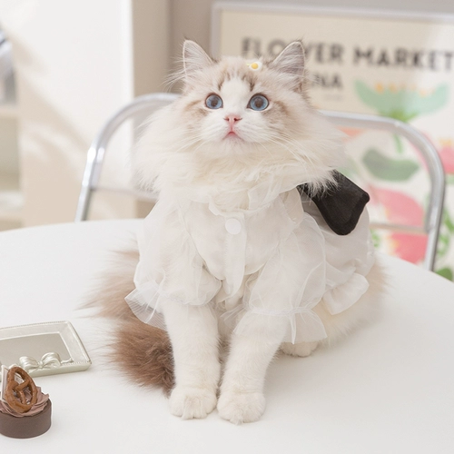 Кружевной наряд маленькой принцессы, юбка, летний тонкий шнурок-держатель