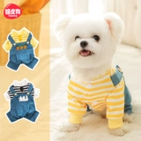 Собачьи брюки с вышившим цветочным джинсовым джинсовым джинсовым джинсом