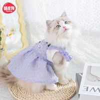 Фиолетовый кот