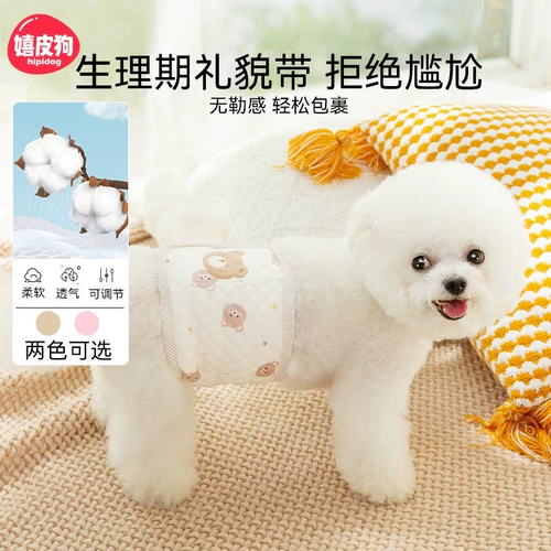 Специальная любезность для собак-мужчин с физиологическими штанами, нижнее белье для любителей собаки, антиснабжение, Медведь Тедди Бишон, Анти-торговый ролик, Эструс Артефакт