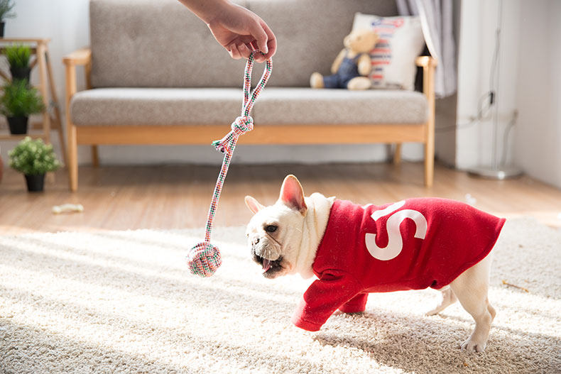 Tb2u3bwa4wybunjy1zkxxxggpxa _ !!