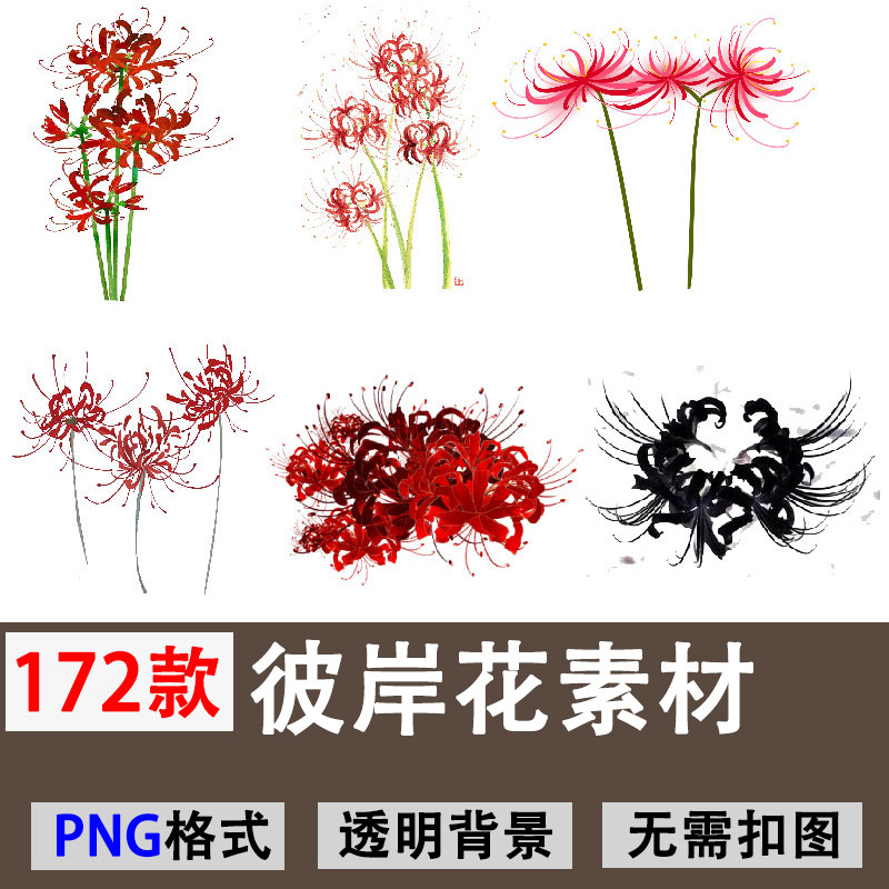 68輪迴紅色彼岸花曼珠沙華花卉海報小說封面png免扣ps設計素材