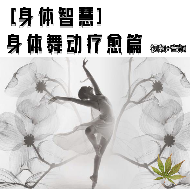 Body Integration Therapy Healing Body Dance Rhythmic Zen Dance Embrace Dance Courses Physical And Mental Co-Dance Action Tutorial Liao Method
