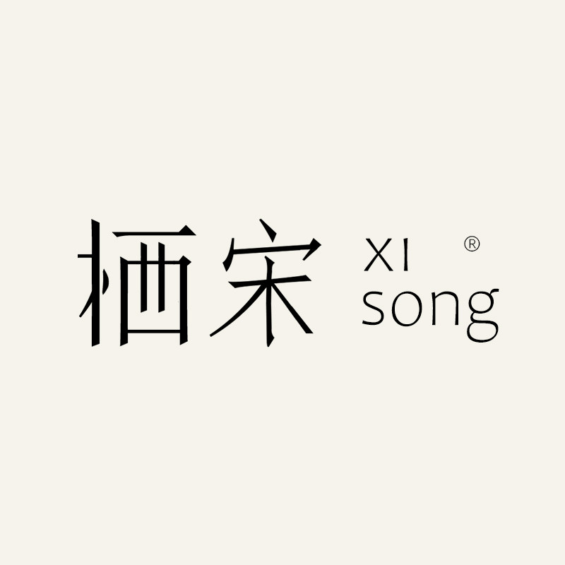 栖宋照明的LOGO
