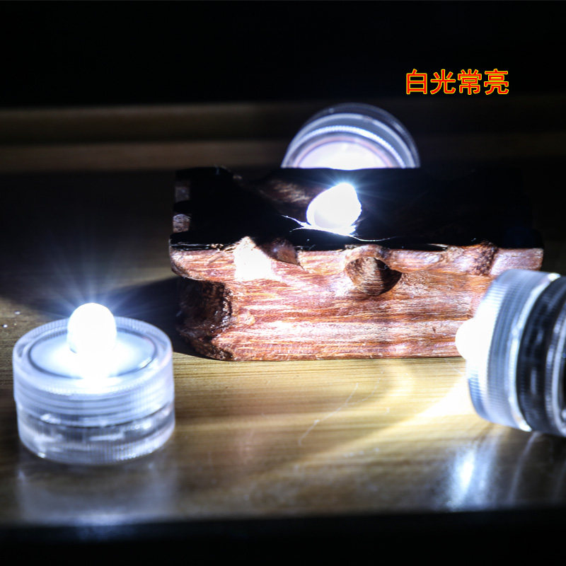 Waterproof LED handmade mini small colorful light Battery bulb Transport bird feeding food button fish tank light Pumpkin DIY