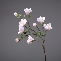 Single Branch Long Branches Ground Simulation Flowers Feel Jade Orchid Living Room Flower Arrangement Fake Flower Family Residence Decoration Wedding Celebration Flower Art Promotion