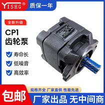 Internal meshing gear CP1-25 CP1-25 32-P-10R CP0-10-P-10R CP0-10-P-10R moulding machine high-pressure gear oil pump