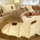 High-Density Milk Velvet Four-Piece Set 2026 New Thickened Warm Duvet Cover Flannel Three-Piece Set Quilt Cover for Autumn and Winter