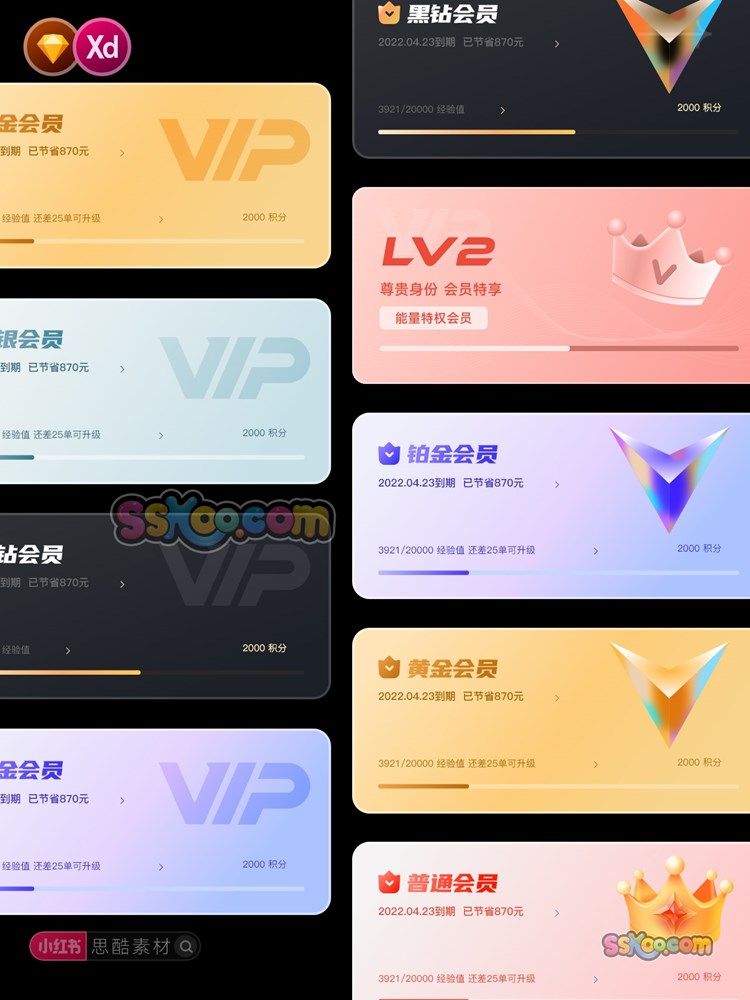UI界面VIP卡片尊贵会员卡成长加速升级Sketch源文件XD设计模板插图2