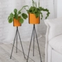 Trống giữa trống Bắc Âu sàn hoa chậu hoa đơn giản đứng vàng rèn hoa phòng khách mô phỏng cây xanh bình hoa - Vase / Bồn hoa & Kệ bình hoa con công