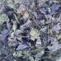 Pure wild dried perilla 100g fan benefits