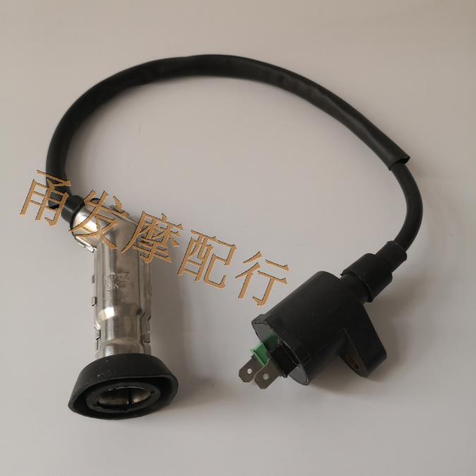 Locomotive high-voltage package Spring Breeze Big Sheep CF250 CH250 Water-cooled 250 High-voltage package Ignition coil