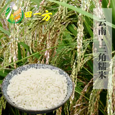 Yunnan specialty Yaoan County triangle glutinous rice Yizhou specialty natural and pollution-free 500 grams