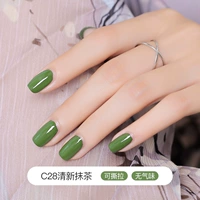 C28 Fresh Matcha (Parrot Green)