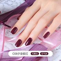 C08 Dye Purple Red (Purple Red)