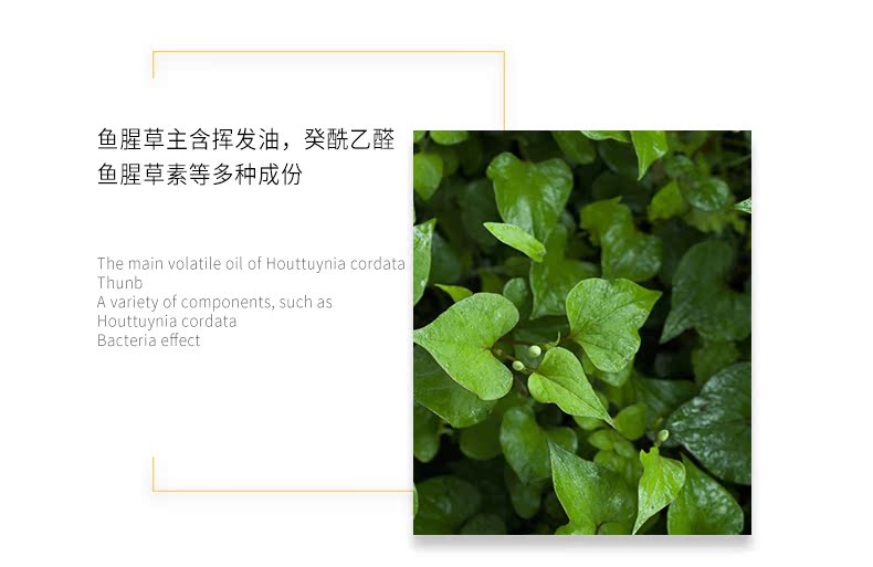 FORETTY / 红 贝 soap xà phòng tinh dầu xà phòng tắm cho trẻ em xà phòng tắm rửa xà phòng tự nhiên 70g - Tinh dầu điều trị tinh dầu xông hơi
