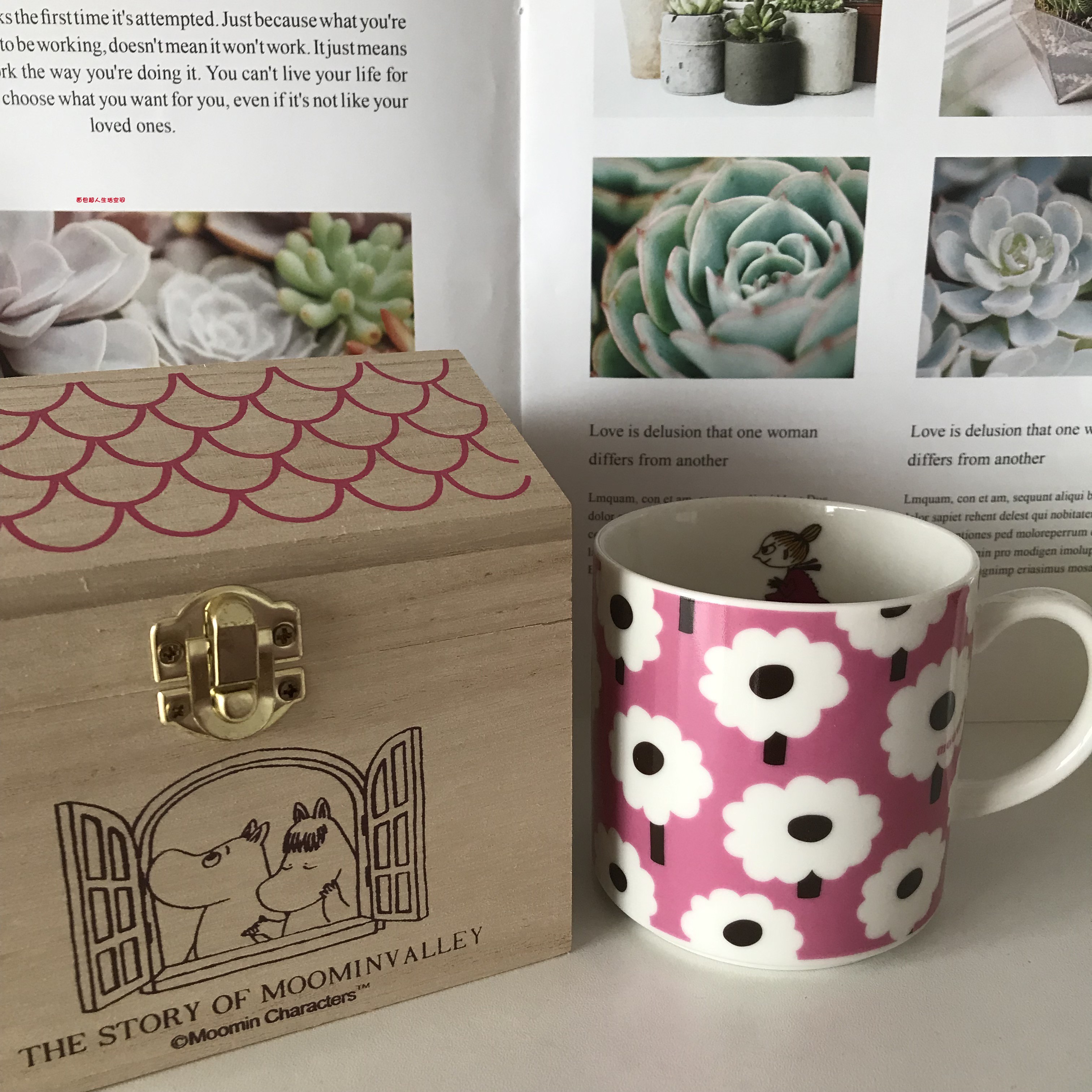 Spot Japan buys Münmin ceramic water glass powder flowers with boxes to send people for self-use.