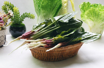 Simulation fruit and vegetable simulation spinach fake broccoli hotel decoration decoration European style pastoral minor