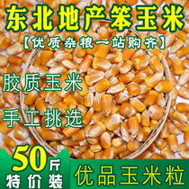 (50 kg)Corn kernels dried corn kernels corn seeds pigeons chickens ducks and birds feed nest bait 50 kg