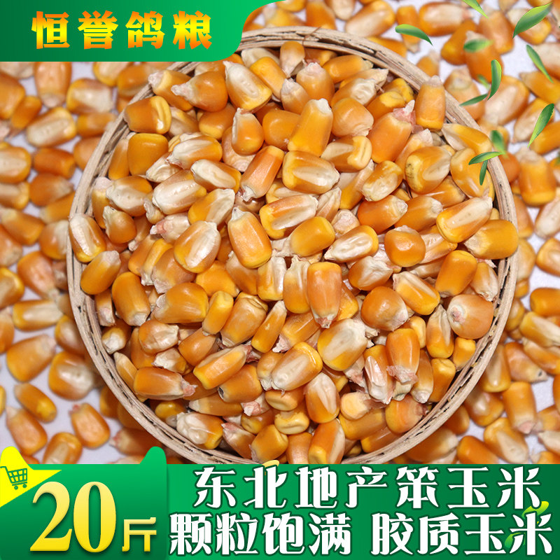 Corn Grain Large Grain Dry Corn Grain Corn Seed Pigeon Chicken Duck Bird Pigeon Feed To Nest Fish Bait 20