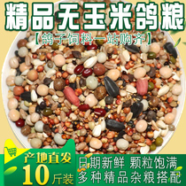 Fine corn-free pigeon food Spray nest feed food Pigeons feed adult pigeons young pigeons carrier pigeons pigeon food 10 pounds