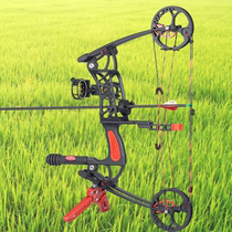 Short steel ball compound bow and arrow villain compound bow dual-purpose triangular pulley bow outdoor shooting archery reverse Bow Arrow