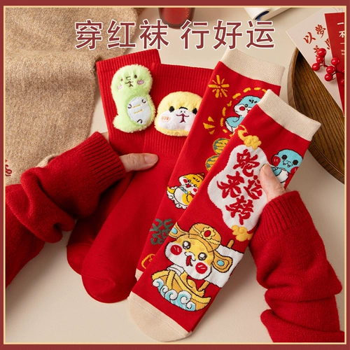 Год змеиных женских носков на местном году.