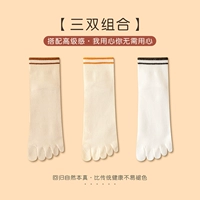 [Комбинация 6] WBD3-4-6DH (3 пары)