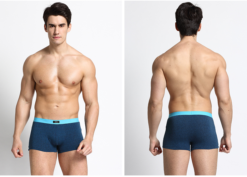 Người Nam Cực 4 người đàn ông đồ lót nam cotton thoáng khí U lồi boxer quần short quần short nam dễ thương quần sịp lưới nam