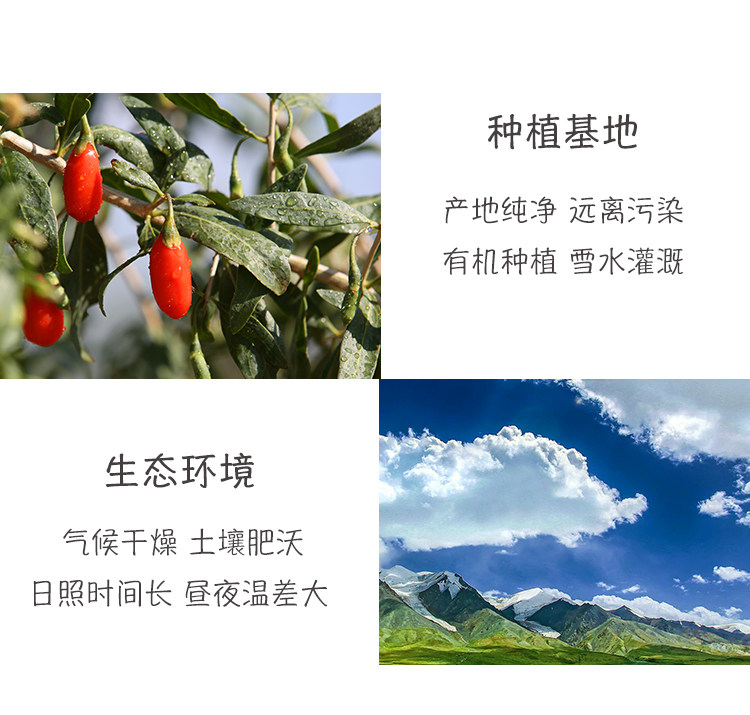 Органический Wolfberry_04.jpg