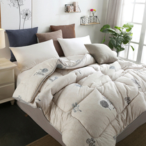 Thickened winter quilt quilt quilt spring and autumn single student dormitory 1 5 × 1 8 × 2 × 2 3 × 2 4 meters