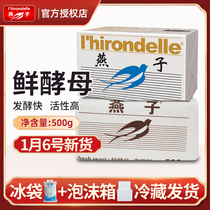 French swallow brand fresh yeast powder high activity high sugar resistant bread yeast powder household steamed buns fresh yeast