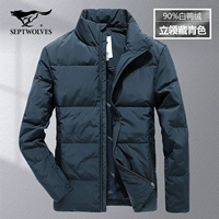 101 (тибетский цин)