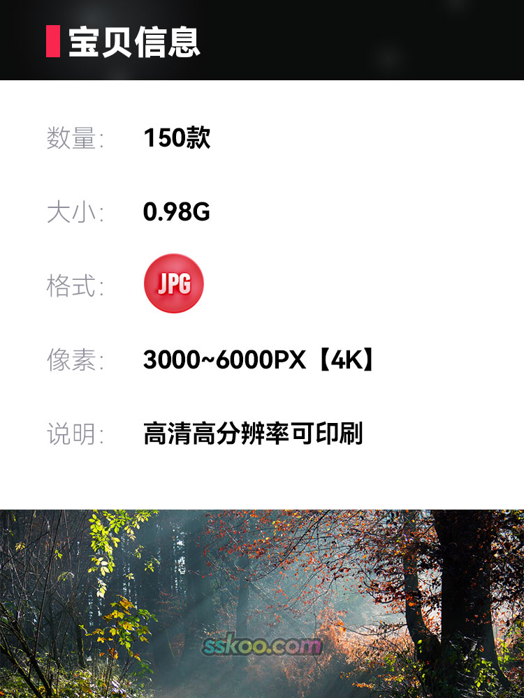 森林树林美丽风景场景高清JPG摄影照片4K壁纸背景图片插图素材插图1