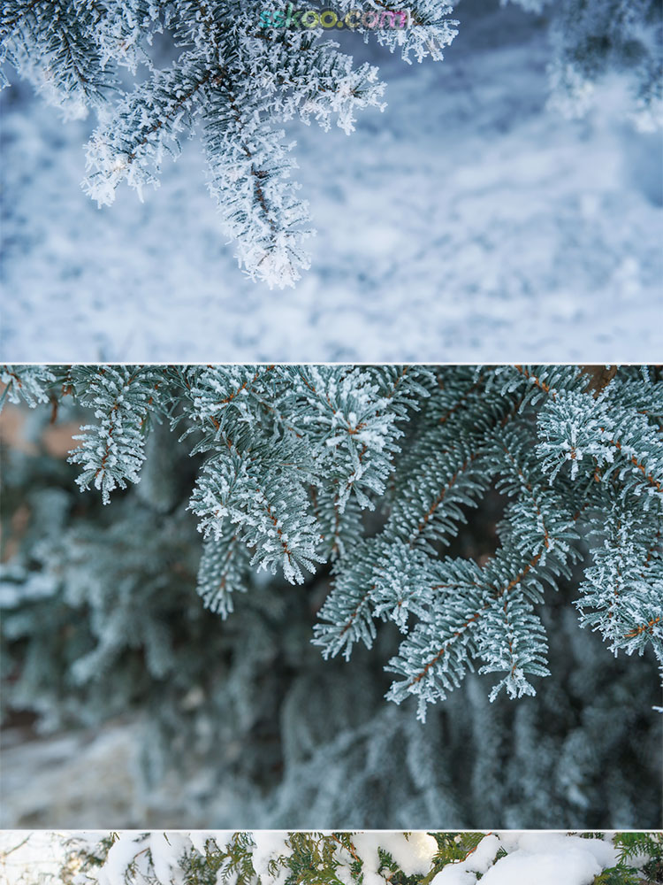 雪景大雪冬天立冬新年冰雪世界雪花背景特写照片摄影高清图片素材插图4