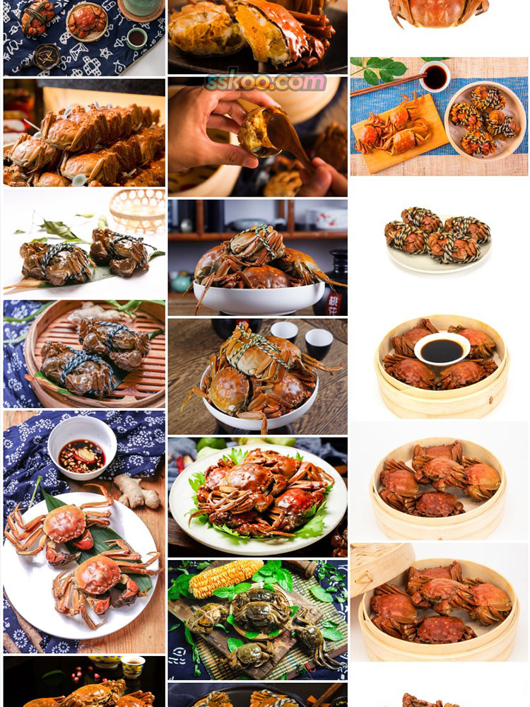 大闸蟹海鲜图片螃蟹特写美食菜单画册海报设计高清图片摄影素材插图6