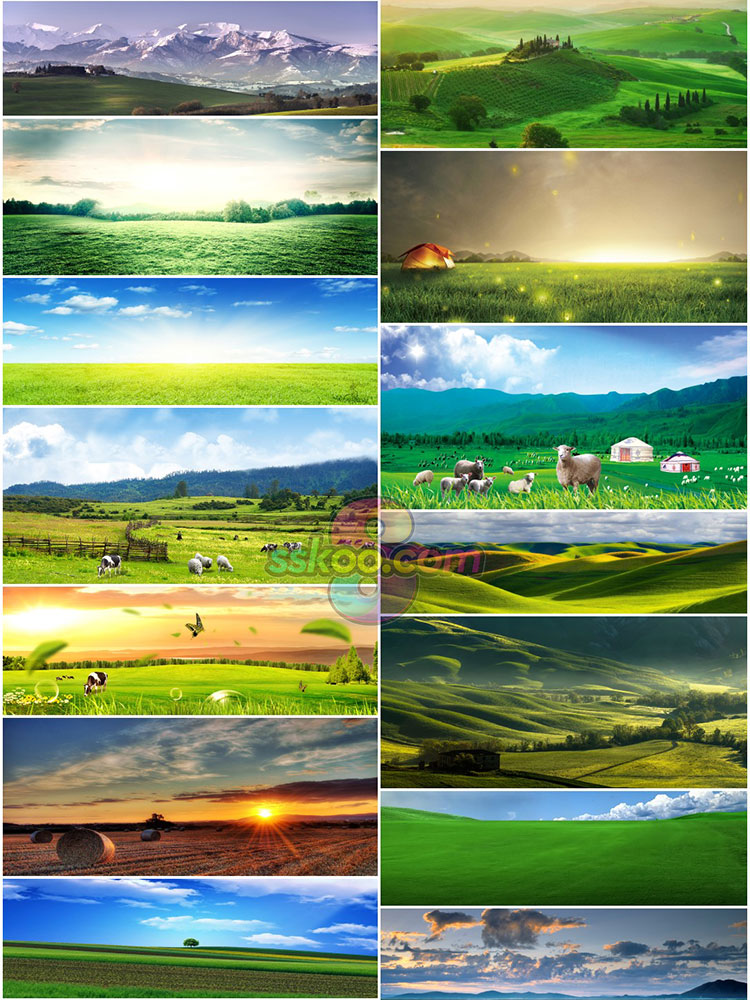 高清绿色草原草地风光JPG青草牛羊背景图片PSD分层平面设计素材插图11
