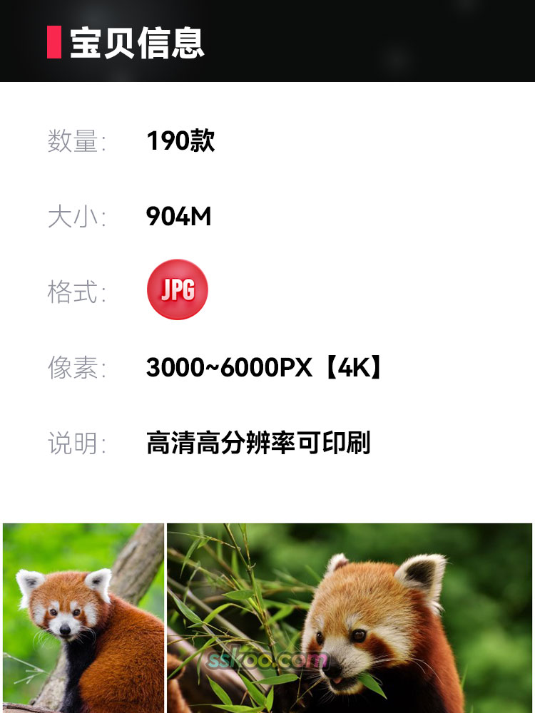 萌红熊猫爬树图片动物园生物超大高清特写JPG图插图摄影设计素材插图1